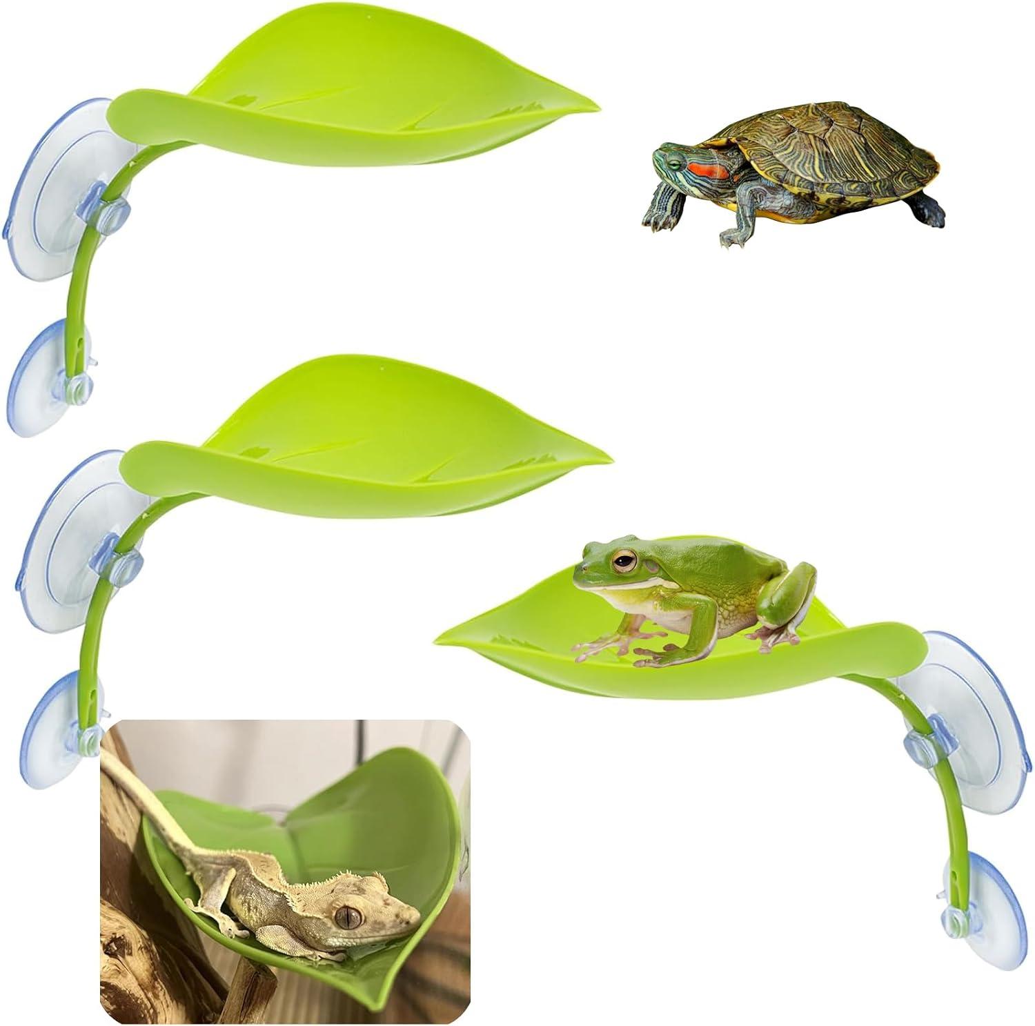 Green curved plastic suction-cup frog lounger dish mounted to terrarium glass.