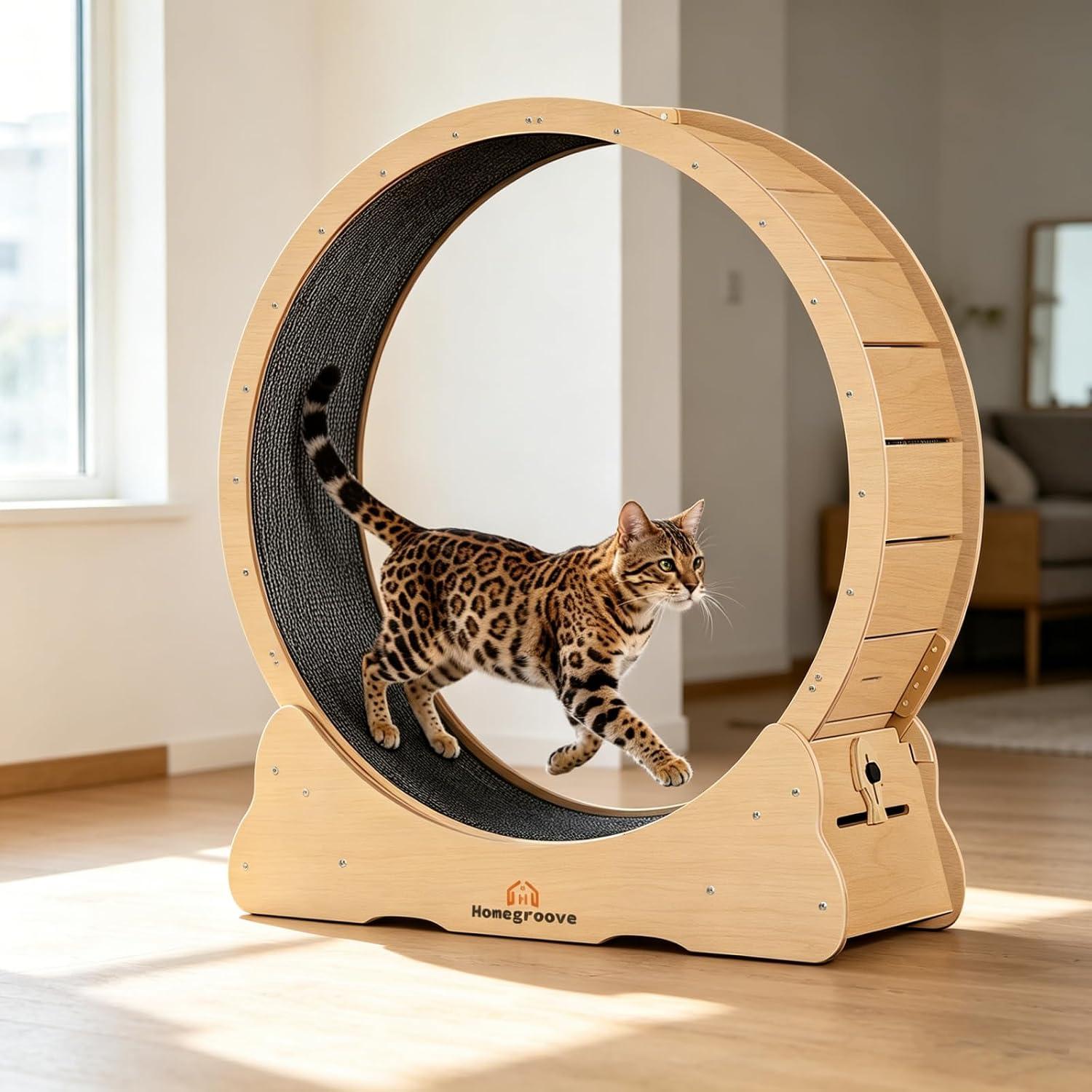 Large circular indoor running exercise wheel with EVA foam track for cats.