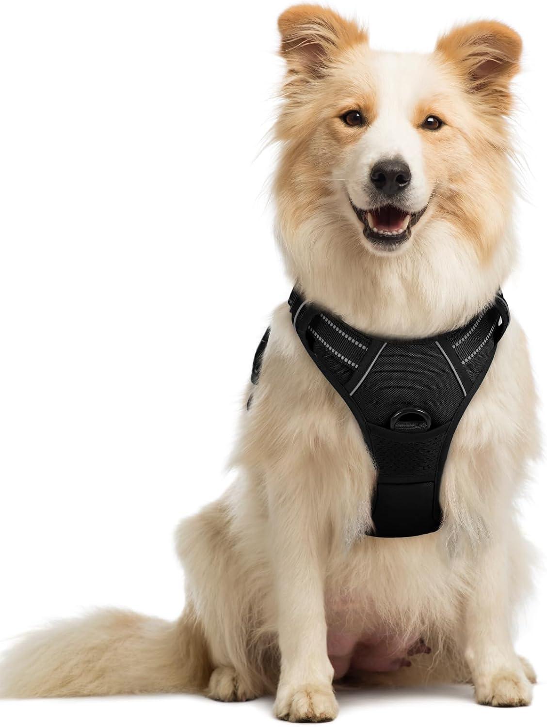 Adjustable reflective mesh no-pull harness with dual leash attachment points.