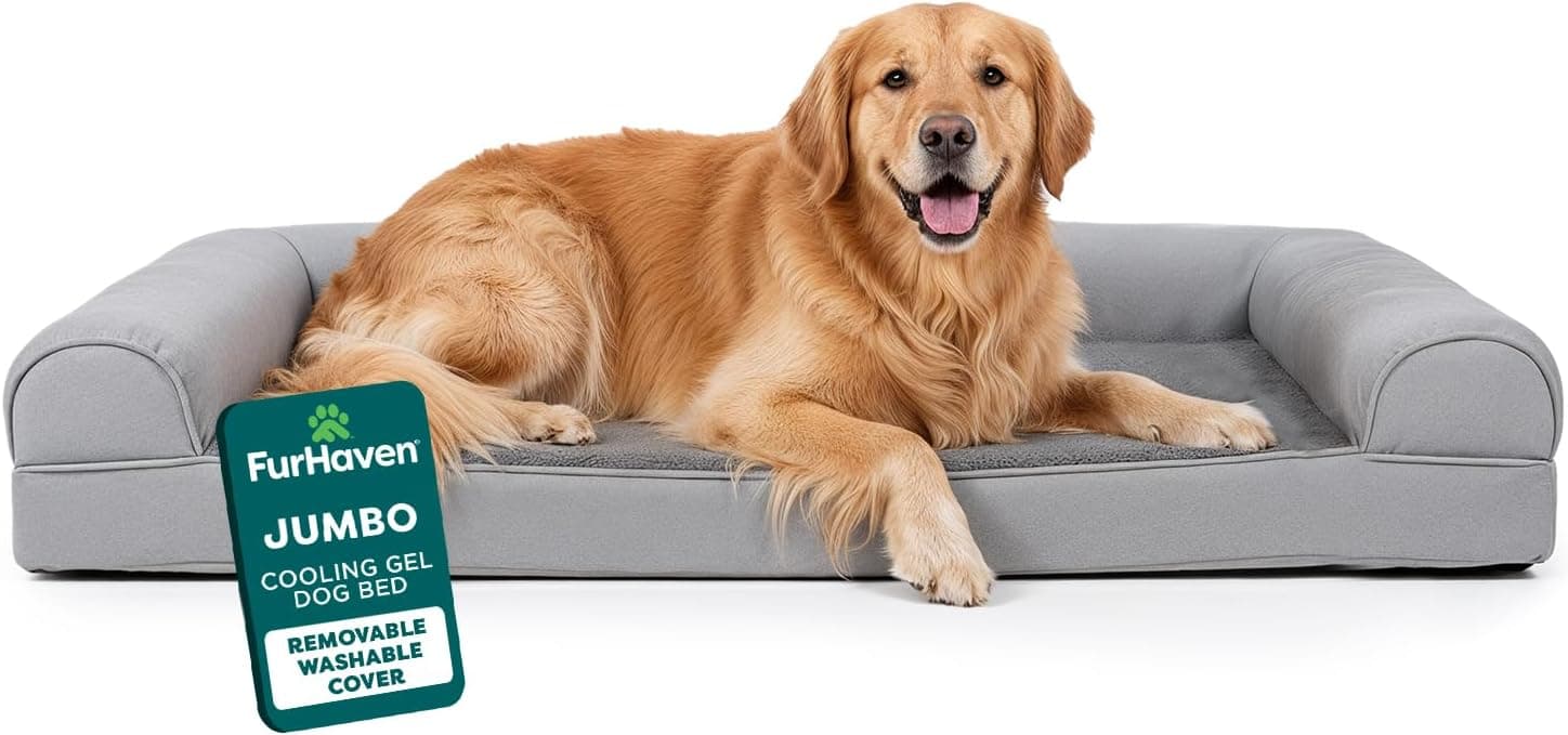 Large plush orthopedic memory foam lounge bed with three supportive bolsters.