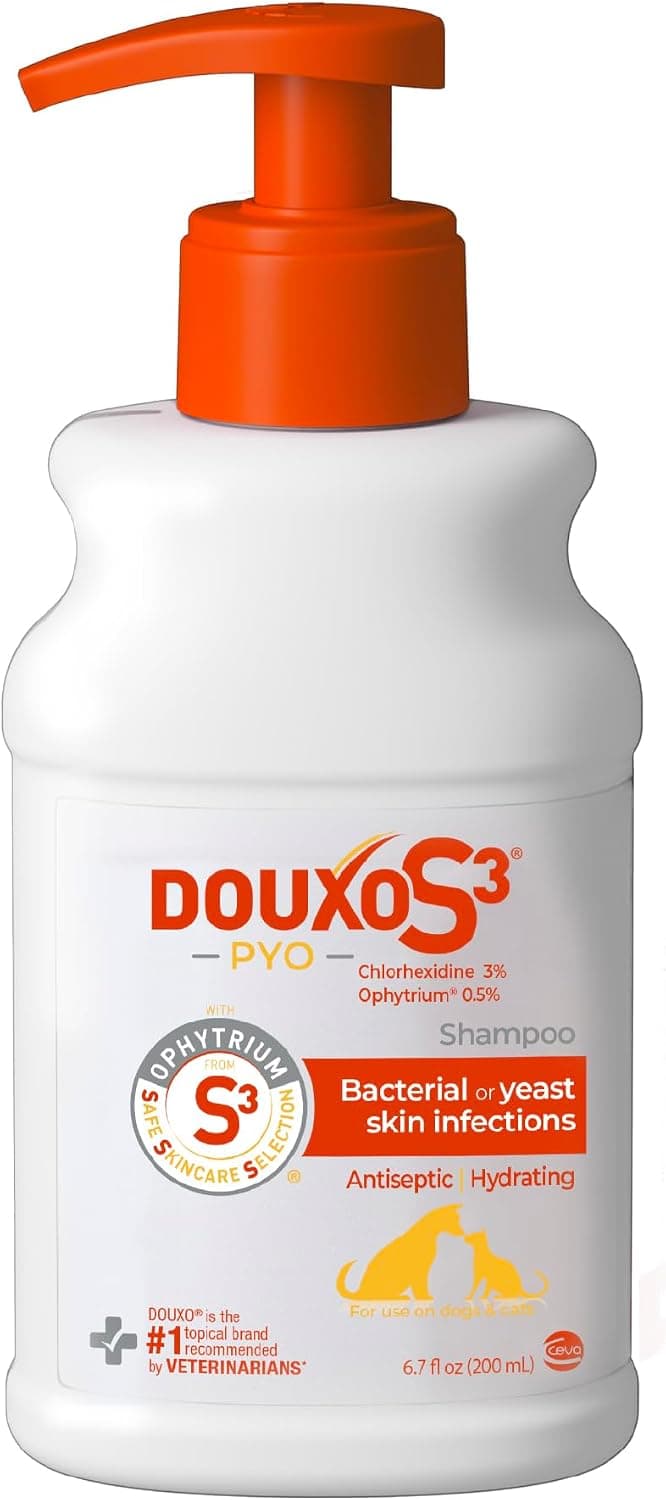 Bottle of clinical chlorhexidine antiseptic cleansing pads for dogs.
