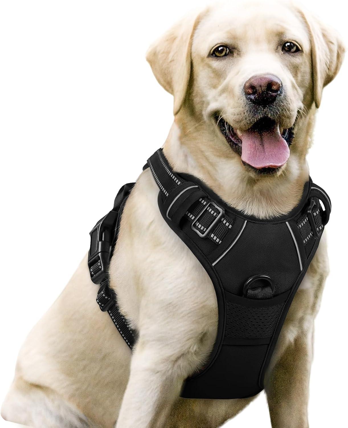 Breathable padded no-pull dog harness with front and back dual leash rings.