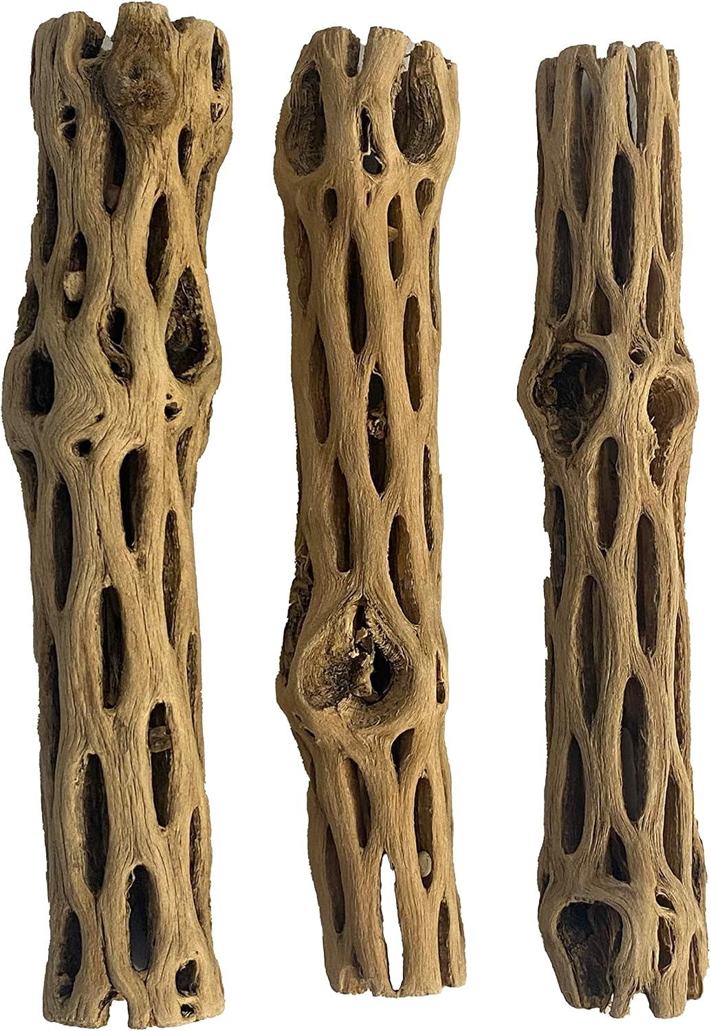 Three natural hollow tubular cholla wood branches with honeycomb holes.