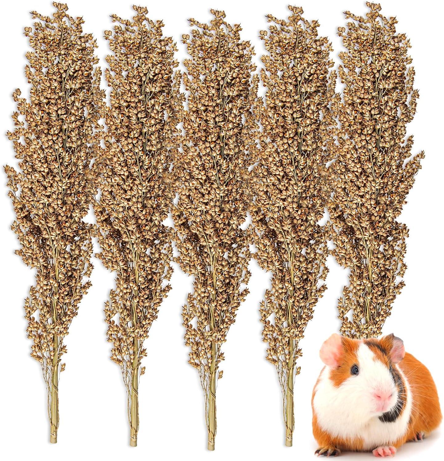 Rich natural seed mix with flax, millet sprays, and mealworms for dwarf hamsters.